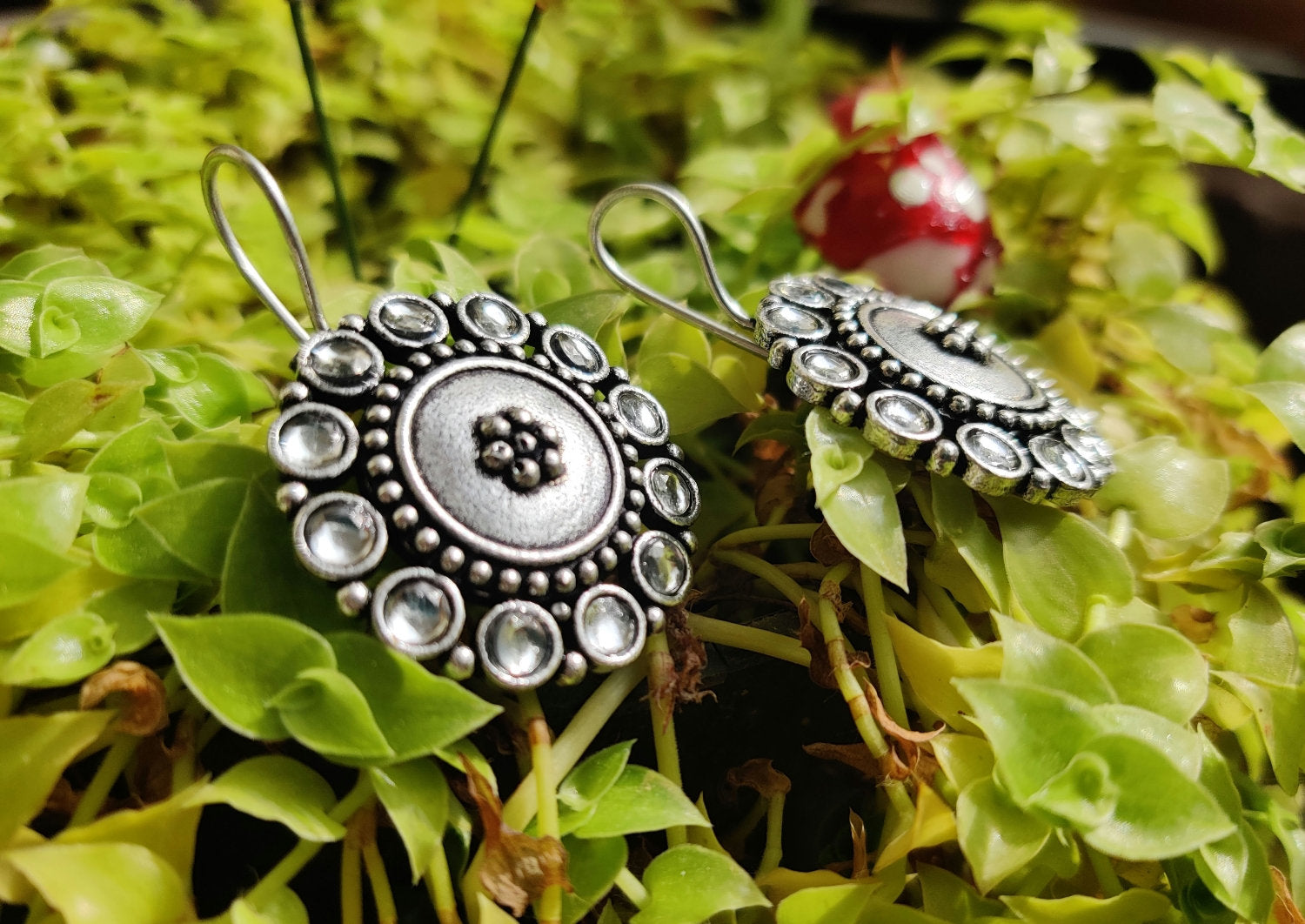 Beautiful Stone Earrings